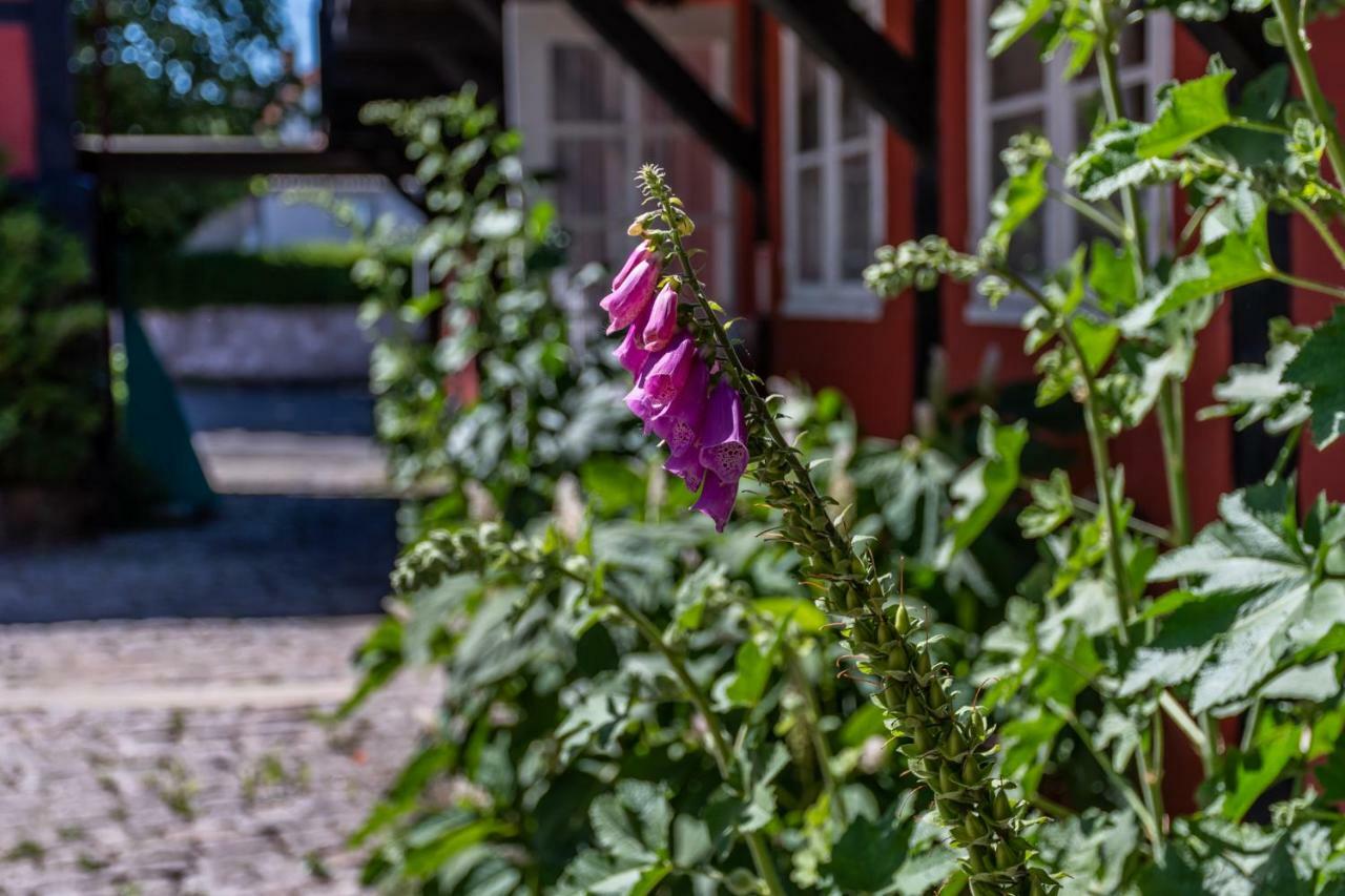 Pension Sandbogaard Allinge-Sandvig Exterior photo