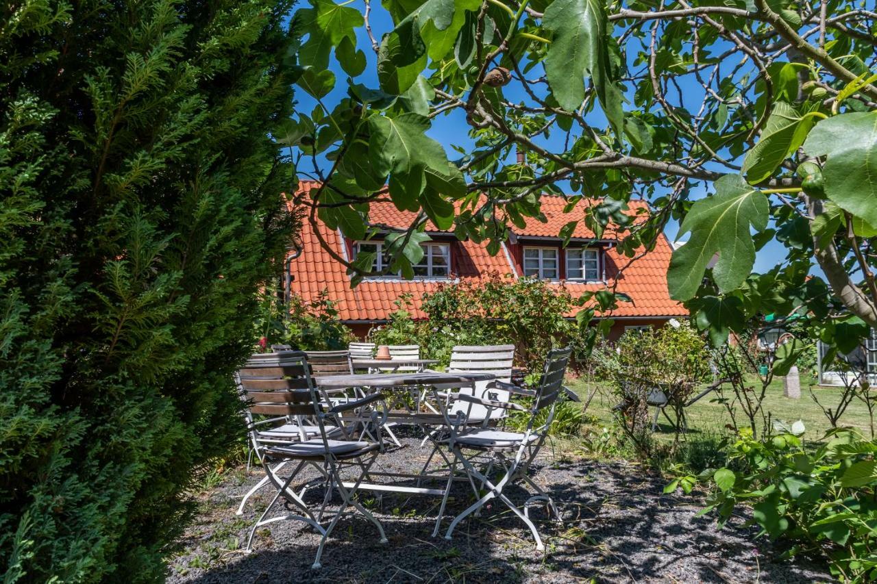 Pension Sandbogaard Allinge-Sandvig Exterior photo